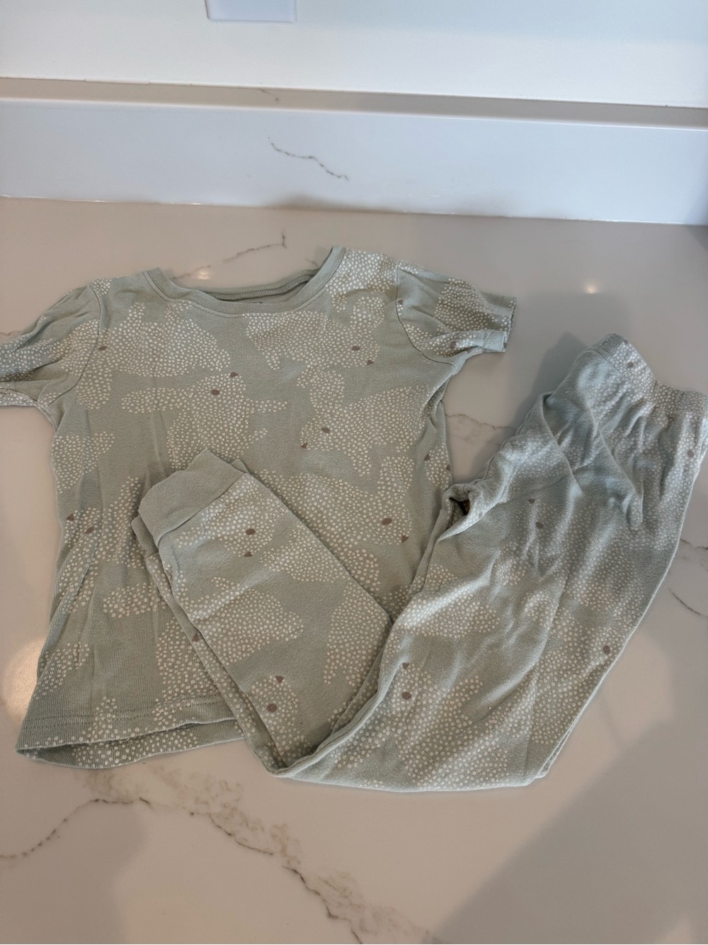 Carter's Sage Green Short Sleeve Pajama Set with Dot Bunny Print